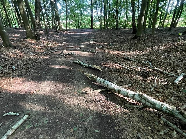 Überbleibsel vom gestrigen Sturm ...