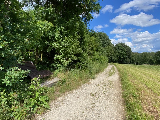Ahornweg