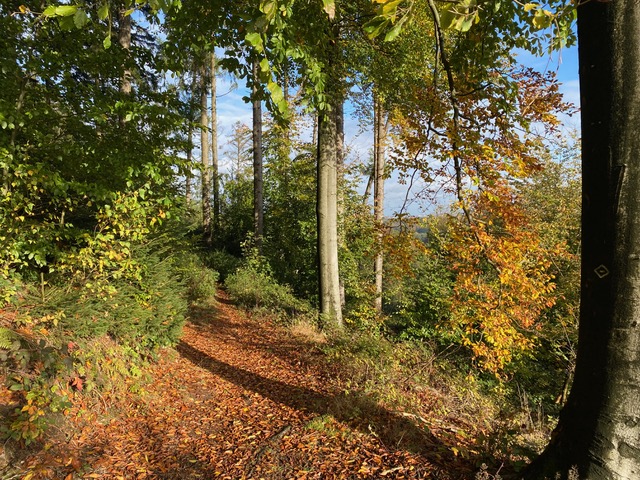 Hüggel