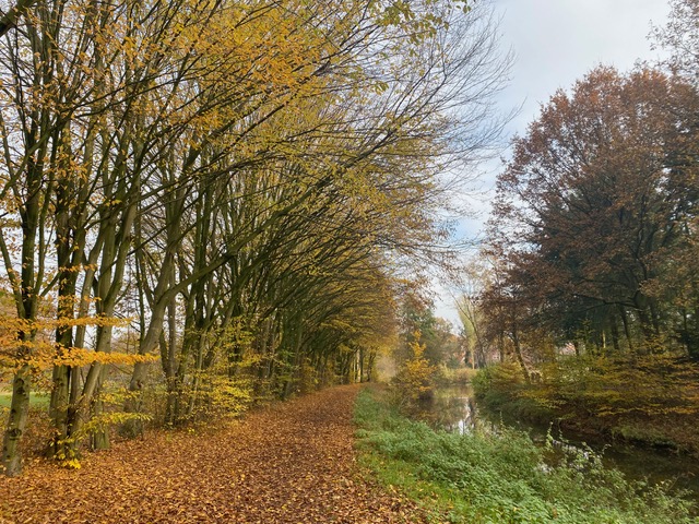 Ladbergen