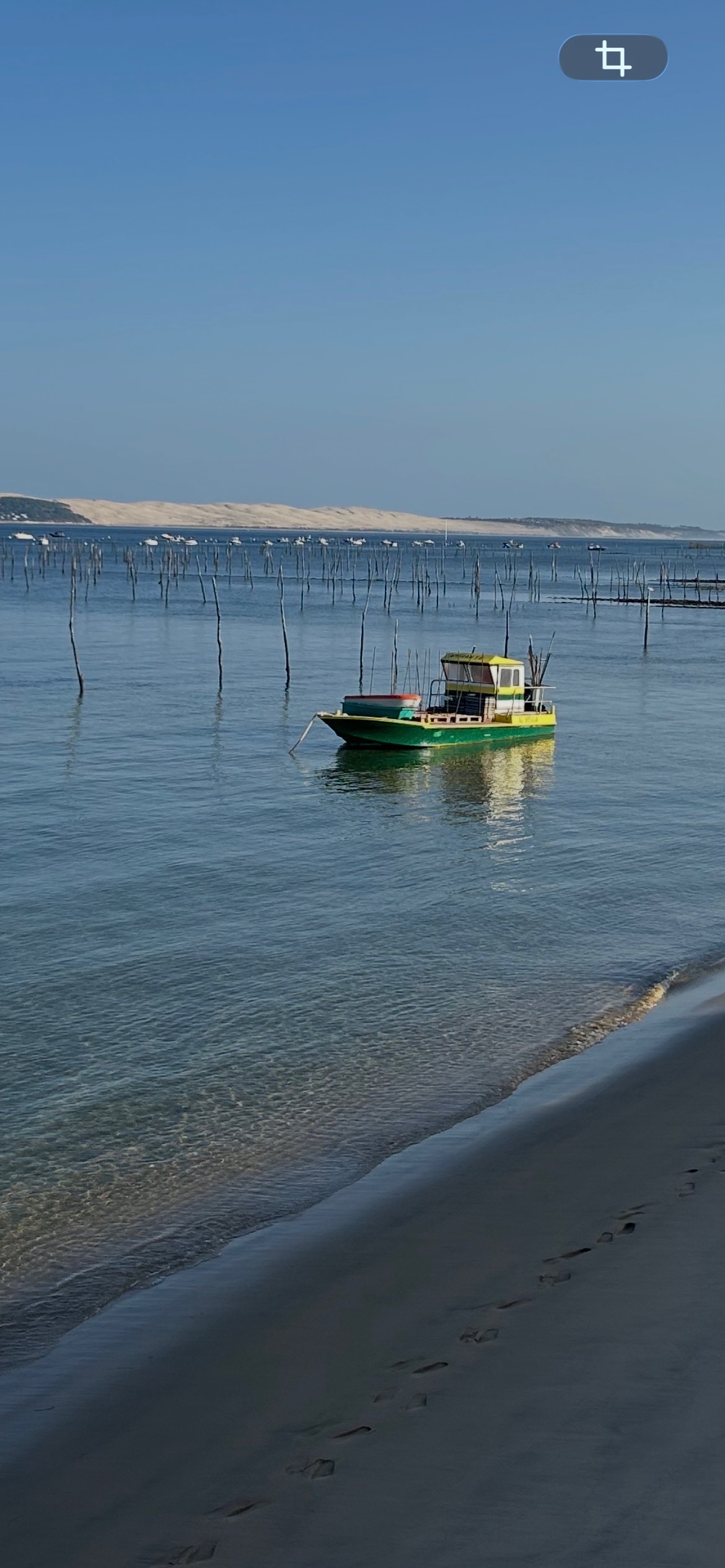 Blick aufs Bassin