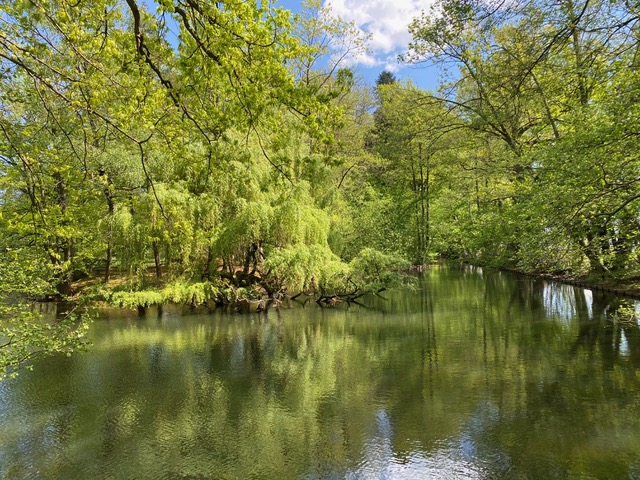 Vortlage
