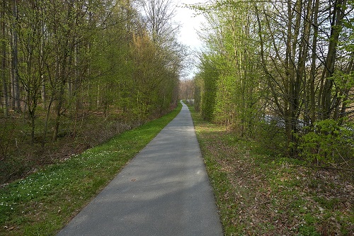 Schmalfelder Wohld